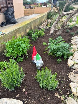 Servicio de jardinería y mantenimiento de piscinas