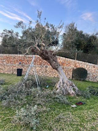 Servicio de jardinería y mantenimiento de piscinas
