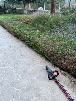 Servicio de jardinería y mantenimiento de piscinas