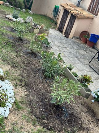 Servicio de jardinería y mantenimiento de piscinas