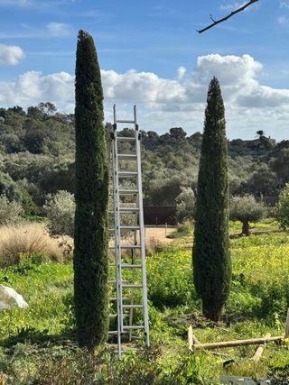 Servicio de jardinería y mantenimiento de piscinas