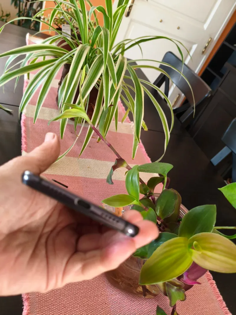 Movil Xiaomi Mi 8 Lite 128GB Negro afbeelding 6