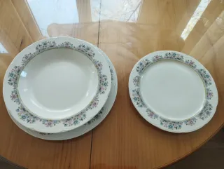 Vajilla Porcelana 45 Piezas