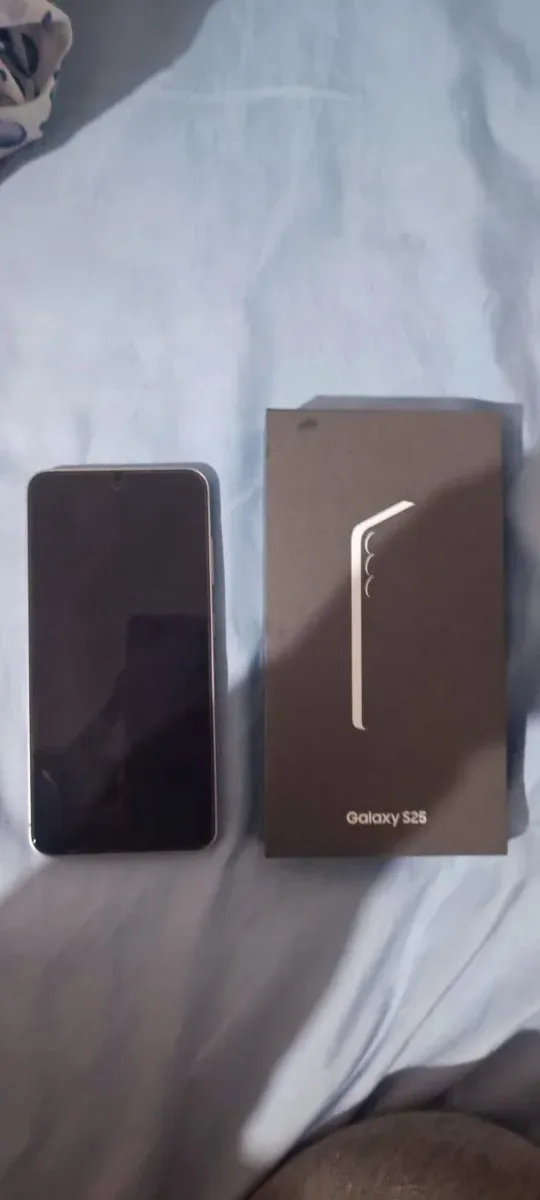 Samsung Galaxy S25 256GB