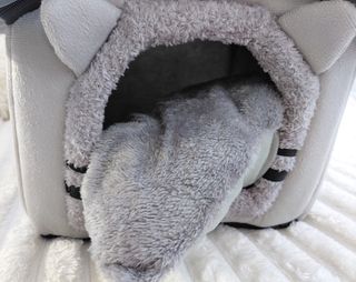 Casa Cama para Mascota