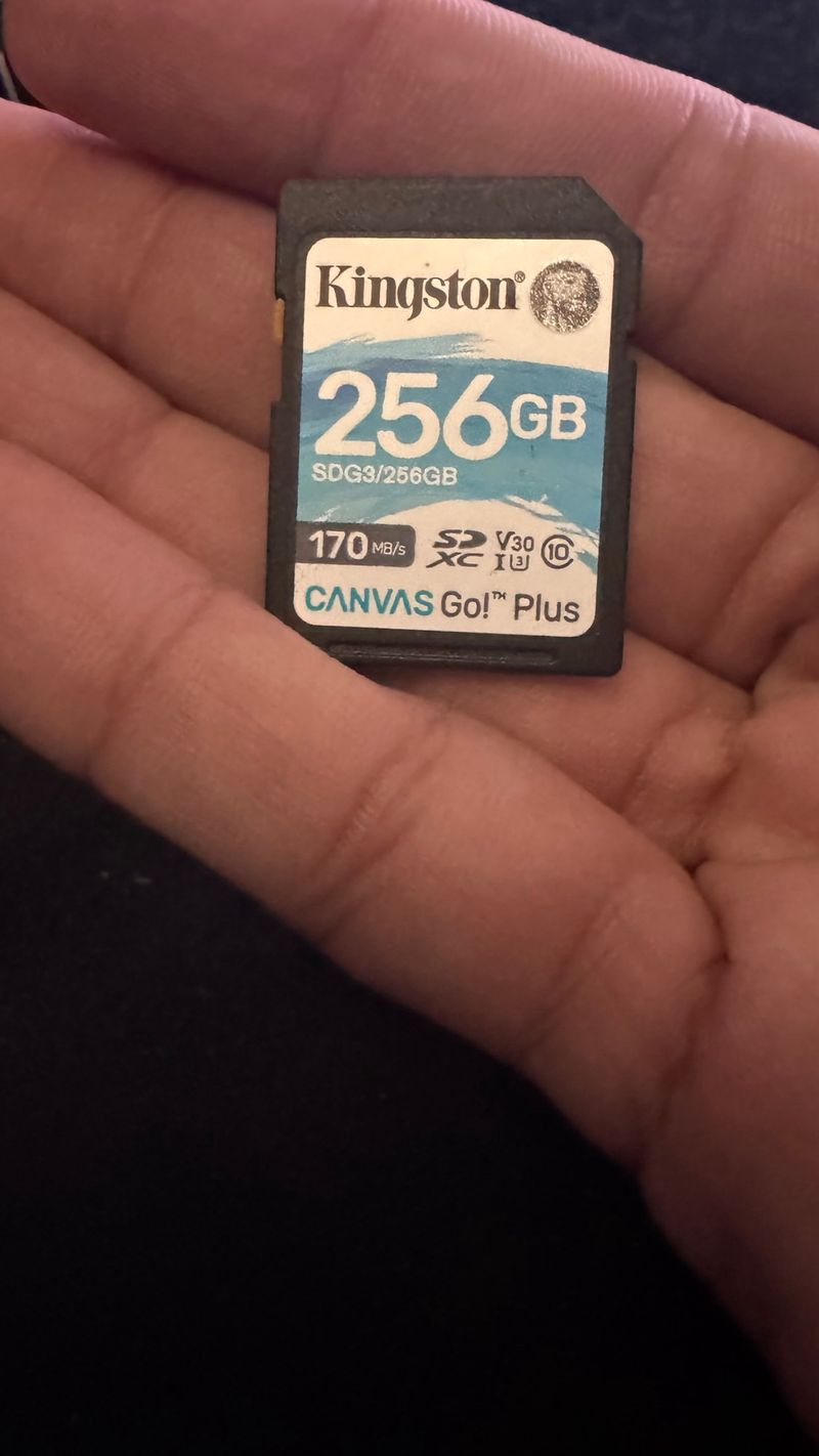 Kingston 256GB SDXC Canvas Go! Plus