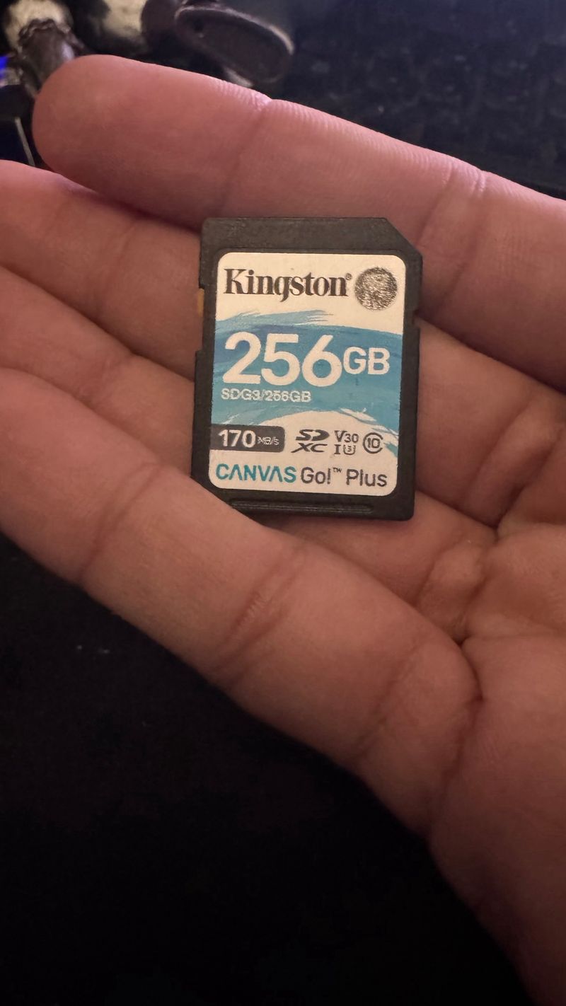 Kingston 256GB SDXC Canvas Go! Plus afbeelding 2