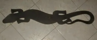Salamandra in legno dipinta L 97cm