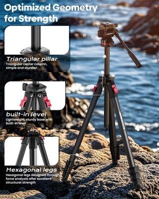 Trípode compacto, 172cm + Cabezal Fluido +90°/-55°