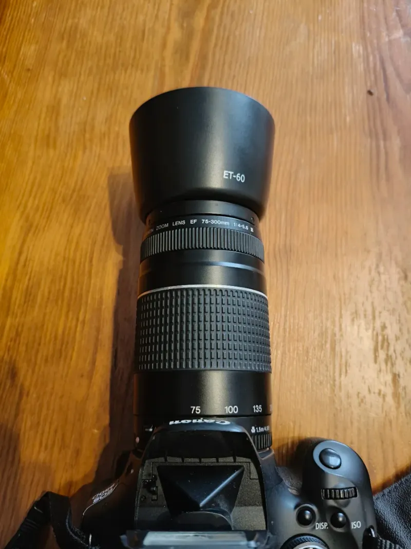 Canon EOS 600D + Lente EF 75-300mm afbeelding 3