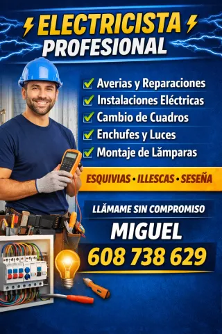 ELECTRICISTA PROFESIONAL ⚡