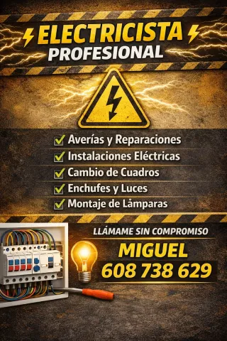 ELECTRICISTA PROFESIONAL ⚡