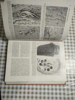 PARASITOLOGIA CLINICA 2ª edición