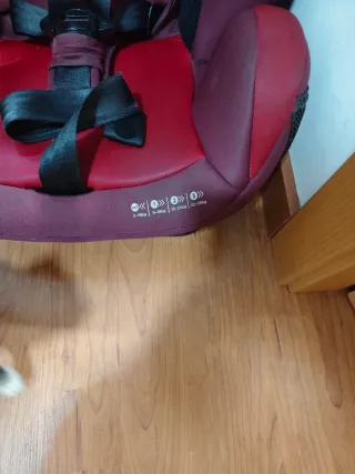 Silla de coche Joie grupo 1-2-3