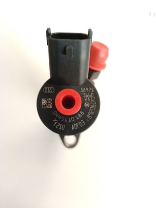 INYECTOR FORD FOCUS SPORTBREAK (CAP)