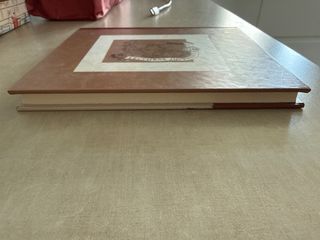 Memorias de un burro (novela para niños)