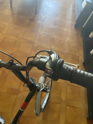 Bicicleta Plegable B-PRO