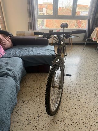 BH Top Line Alu 250 MTB Vintage 90s