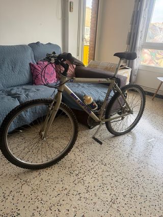 BH Top Line Alu 250 MTB Vintage 90s