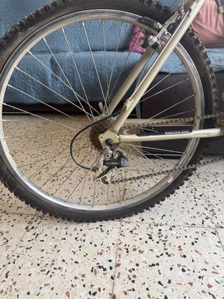 BH Top Line Alu 250 MTB Vintage 90s