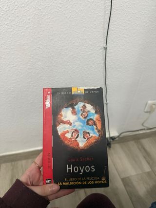 Hoyos