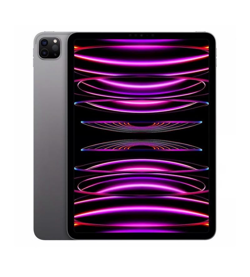 iPad Pro 11 4ª Gen Gris