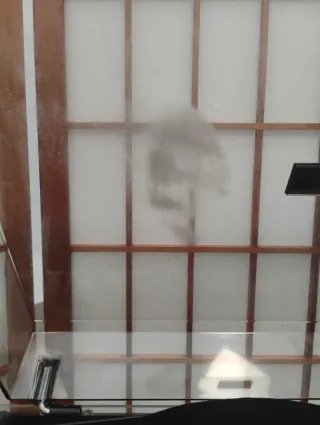 Pro-Ject Essential II