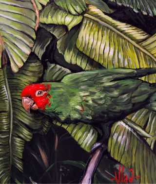 “Jardín del Papagayo”