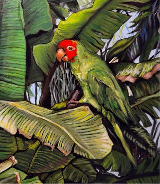 “Jardín del Papagayo”