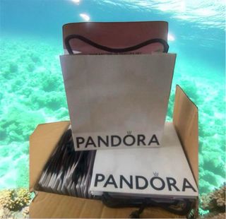 Pandora 50 Bolsas de Cartón