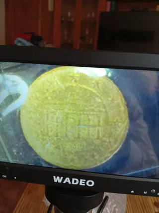 Moneda 20 céntimos alemana con fallo