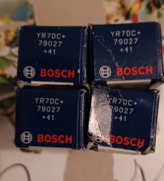 Candele Bosch