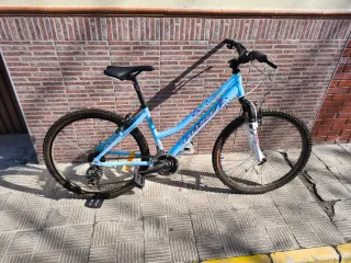 Bicicleta de montaña azul
