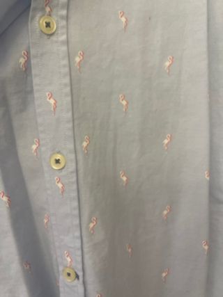Camisa azul con flamencos
