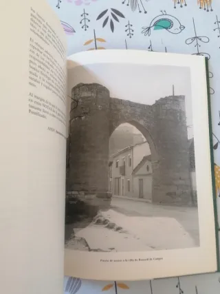 Libro Notas de Archivo II. Palencia