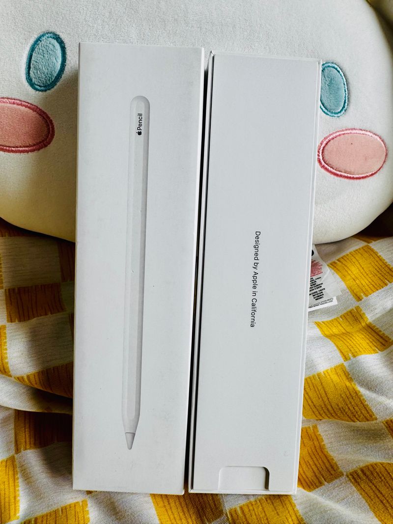 Apple Pencil 2ª Generación afbeelding 2