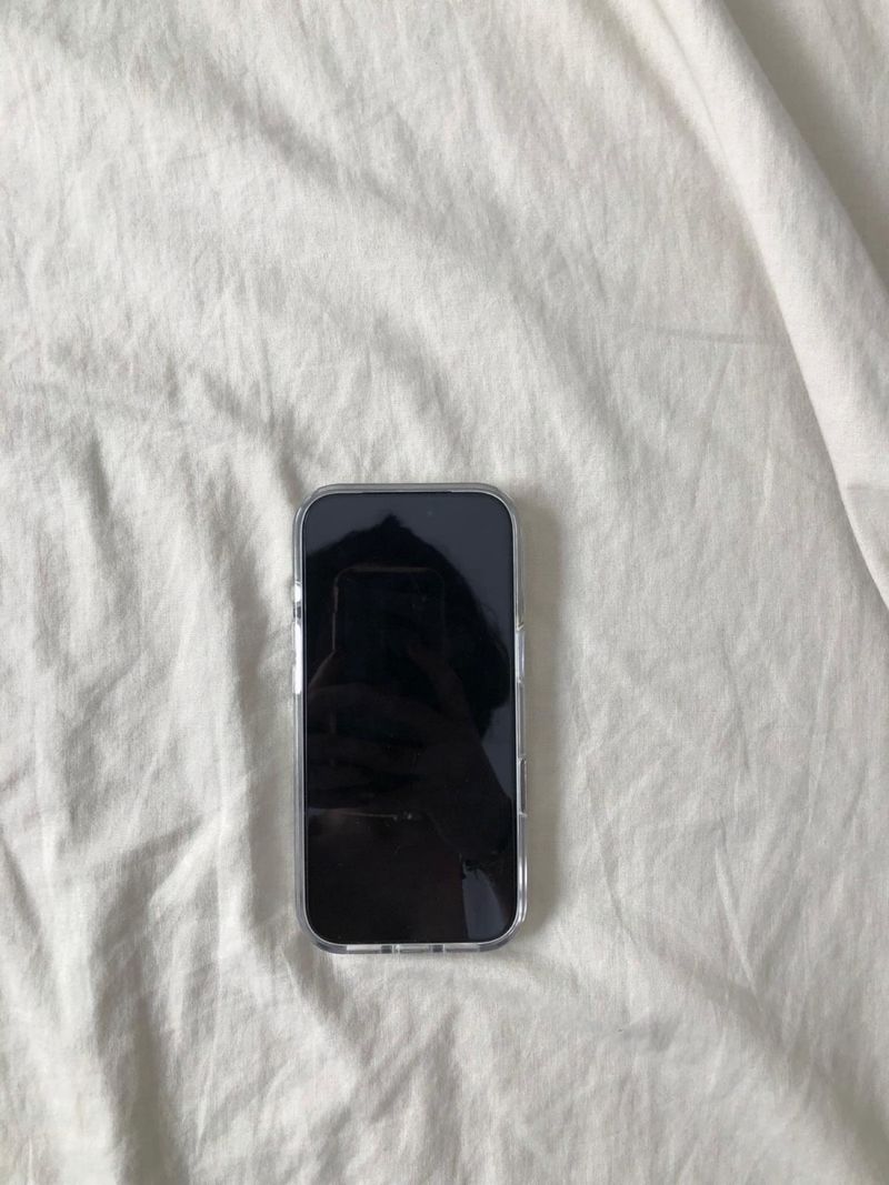 iPhone 17 Pro 256GB Plata/Blanco nuevo afbeelding 2