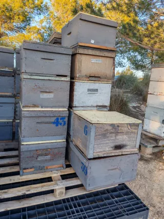 Colmenas Langstroth sin abejas