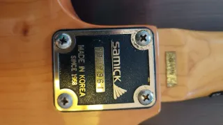 Guitarra eléctrica Samick Floid Rose