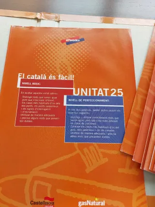 Curs de llengua catalana
