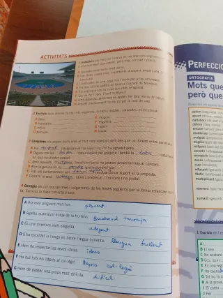 Curs de llengua catalana