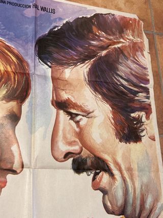 Póster Película Sígueme (Follow Me) 1971