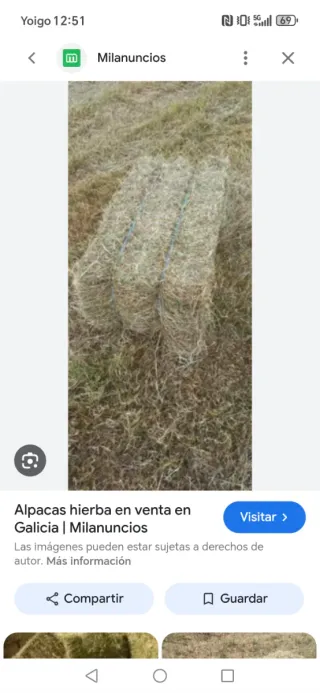 Alpacas de hierba seca de buena calidad