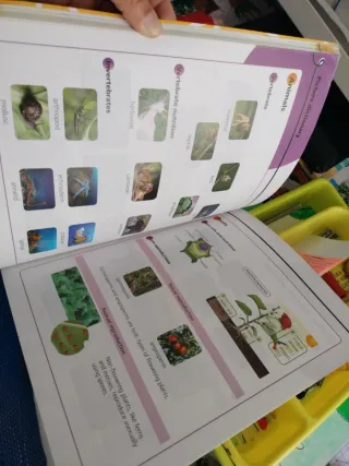 Natural Science 4 MADRID (CC. Naturales Nivel 4)