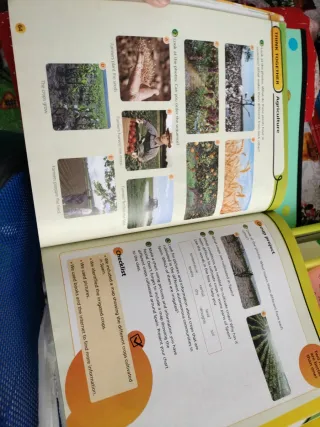 Natural Science 4 MADRID (CC. Naturales Nivel 4)