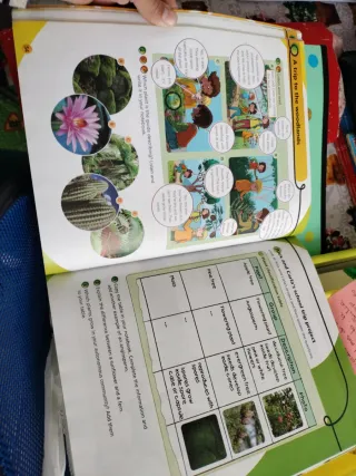 Natural Science 4 MADRID (CC. Naturales Nivel 4)