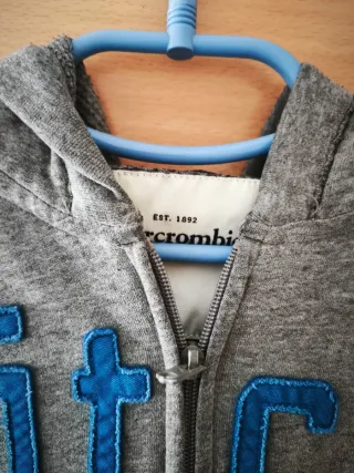 Sudadera Abercrombie & Fitch Gris Azul