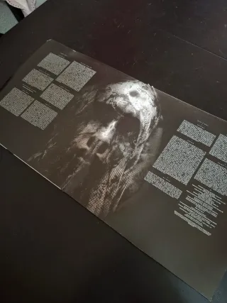 Vinilo Slipknot - We Are Not Your Kind