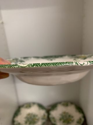 Vajilla Porcelana Bird of Paradise de Colección