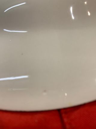 Vajilla Porcelana Bird of Paradise de Colección
